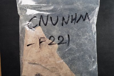 CNUNHM-F221-2