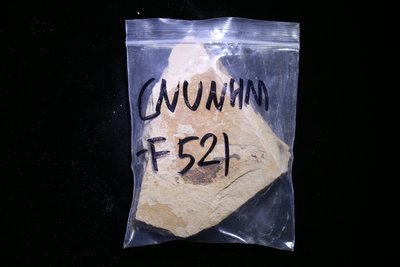 CNUNHM-F521-03