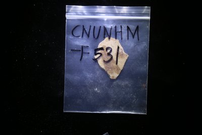 CNUNHM-F531-04