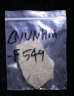 CNUNHM-F549-03