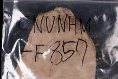 CNUNHM-F857-03