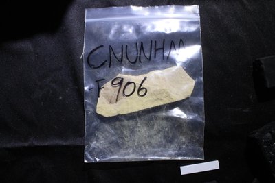 CNUNHM-F906