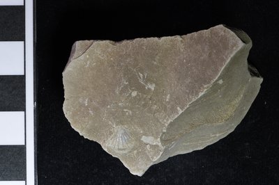 CNUNHM-FCB-F661-02-01