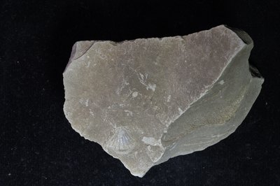 CNUNHM-FCB-F661-02-02