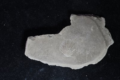 CNUNHM-FCB-F661-03-02