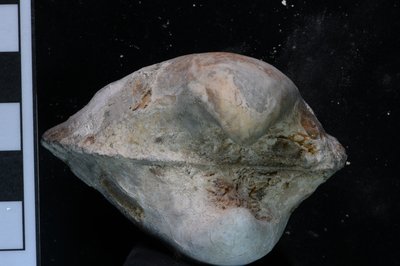 CNUNHM-FCB-F662-01-03