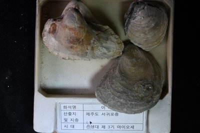 CNUNHM-FCB-F662-01-05