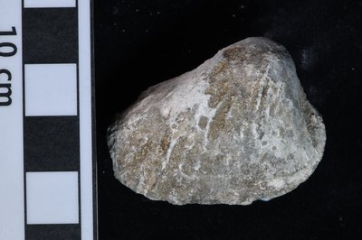 CNUNHM-FCB-F663-04-01