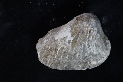 CNUNHM-FCB-F663-04-01