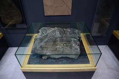 Dromaeosauriformipes(드로마에오사우리포미페스)