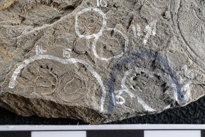 GL12-12C_1-13, 14, 15