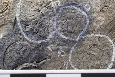 GL12-unknown_1-7, 8, 9, 10