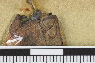 GL20-27-1 (SNUP1331)_1-1331