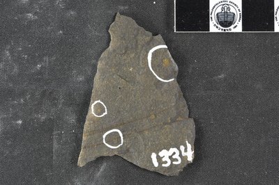 GL20-2a (SNUP1334)_1