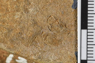 GL20-42_1 (SNUP1335,1338)