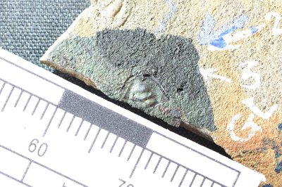 GL20-43_1 (SNUP1341)_1-1341