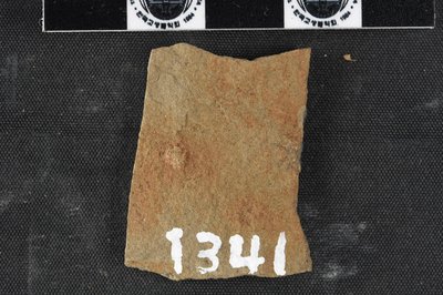 GL20-43_1 (SNUP1341)_2