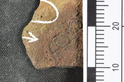 GL20-a (SNUP1333)_1-1