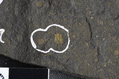 GL20-a (SNUP1333)_1-2