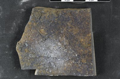 GL20-x (SNUP-1339)_1