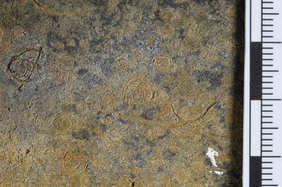 GL20-x (SNUP1336)_2-1