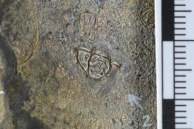 GL20-x (SNUP1336)_2-2