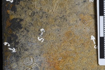 GL20-x (SNUP1336)_2-5