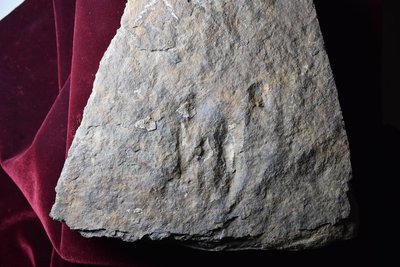 JPTM-JCH L2 Th 045-2