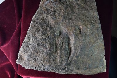 JPTM-JCH L2 Th 045-3