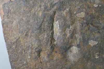 JPTM-JCH L2 Th 045-4