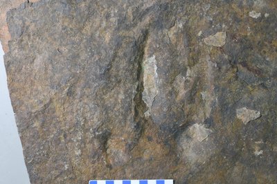 JPTM-JCH L2 Th 045-5