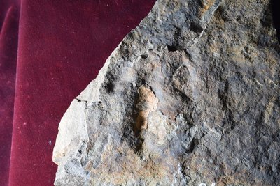 JPTM-JCH L2 Th 048-4