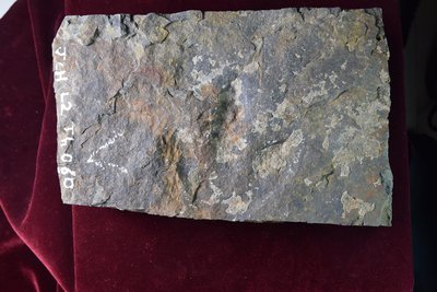 JPTM-JCH L2 Th 060-2