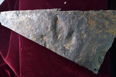 JPTM-JCH L2 Th 061-2