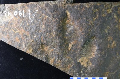 JPTM-JCH L2 Th 061-3